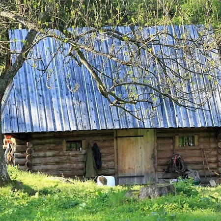 Homestay U Stachoniow Zakopane